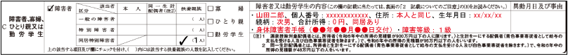 障害者控除（扶養親族が障害者である場合の障害状態等の記載例示：16歳未満の扶養親族に記載がない同居特別障害者）